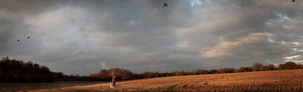 Justin Barton - Pictures, Art, Photography