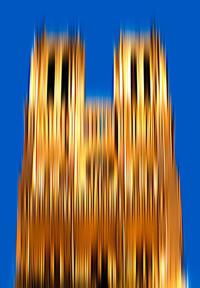 Notre Dame von Anja Neudert