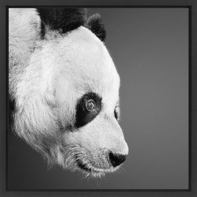 Bao-Bao von Alexander Von Reiswitz