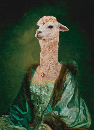 Imperatrice Vicugna von Angela Rossi