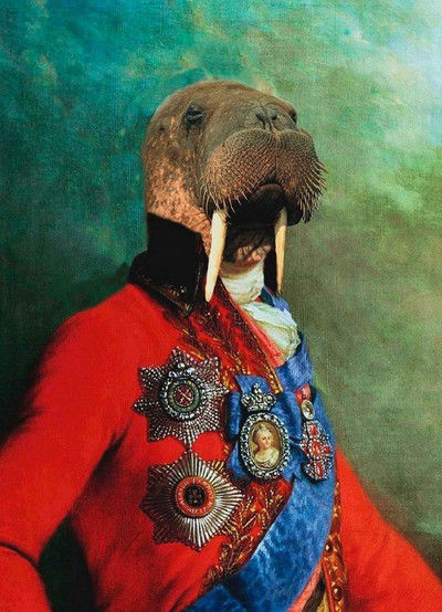 Sir Odobenus Rosmarus von Angela Rossi