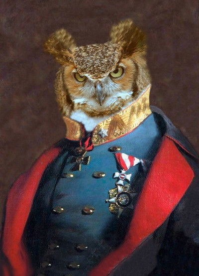 Captain Strigiformes von Angela Rossi
