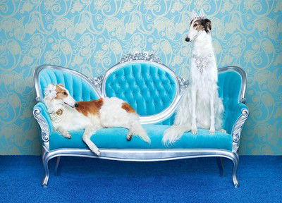 Luna & Bonny von Catherine Ledner
