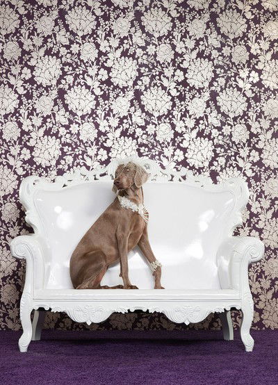 Sunny von Catherine Ledner