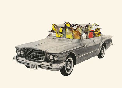 Joyride von Vivienne Strauss