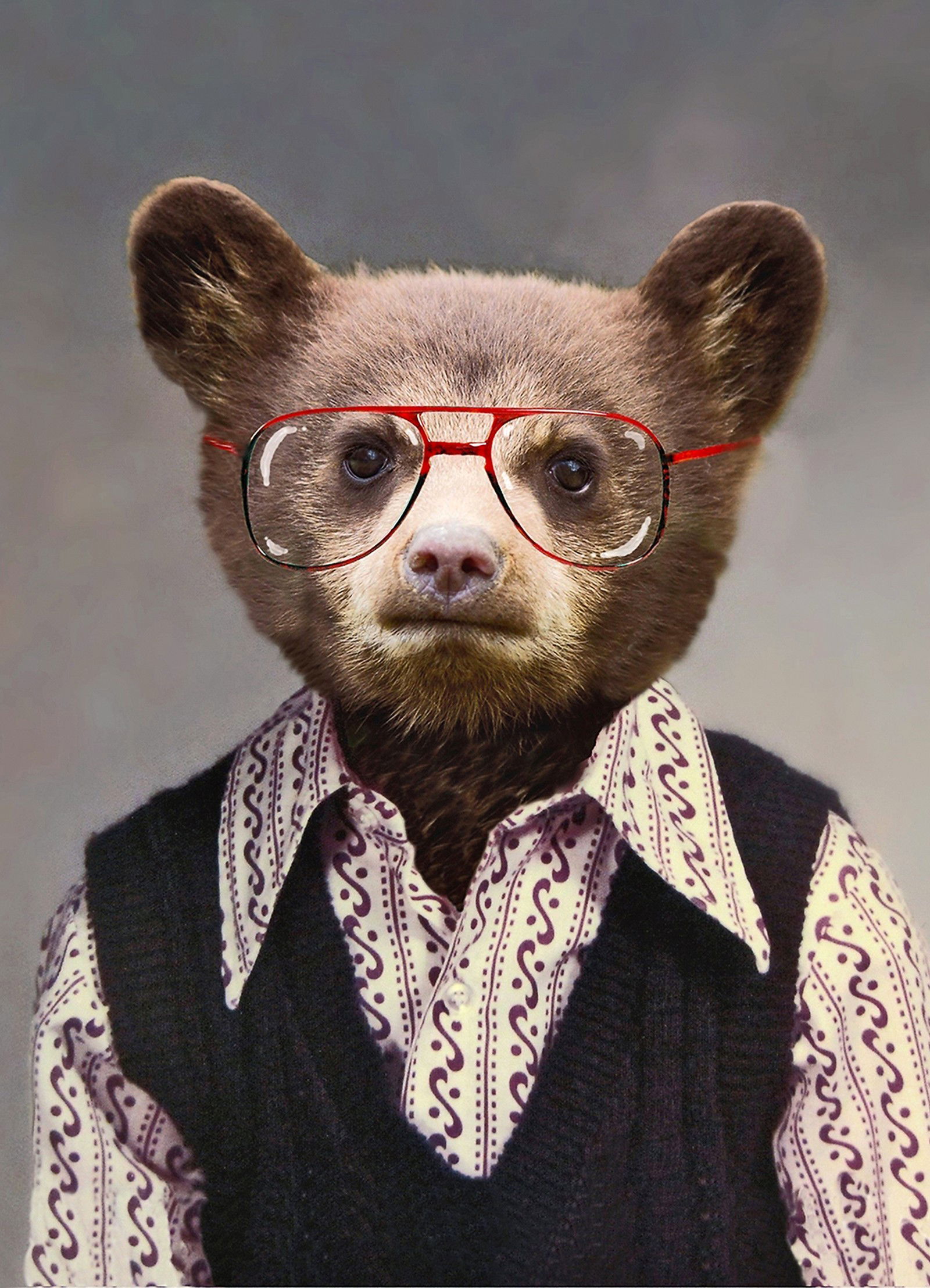Benji the Bear von Angela Rossi Benji the Bear von Angela Rossi