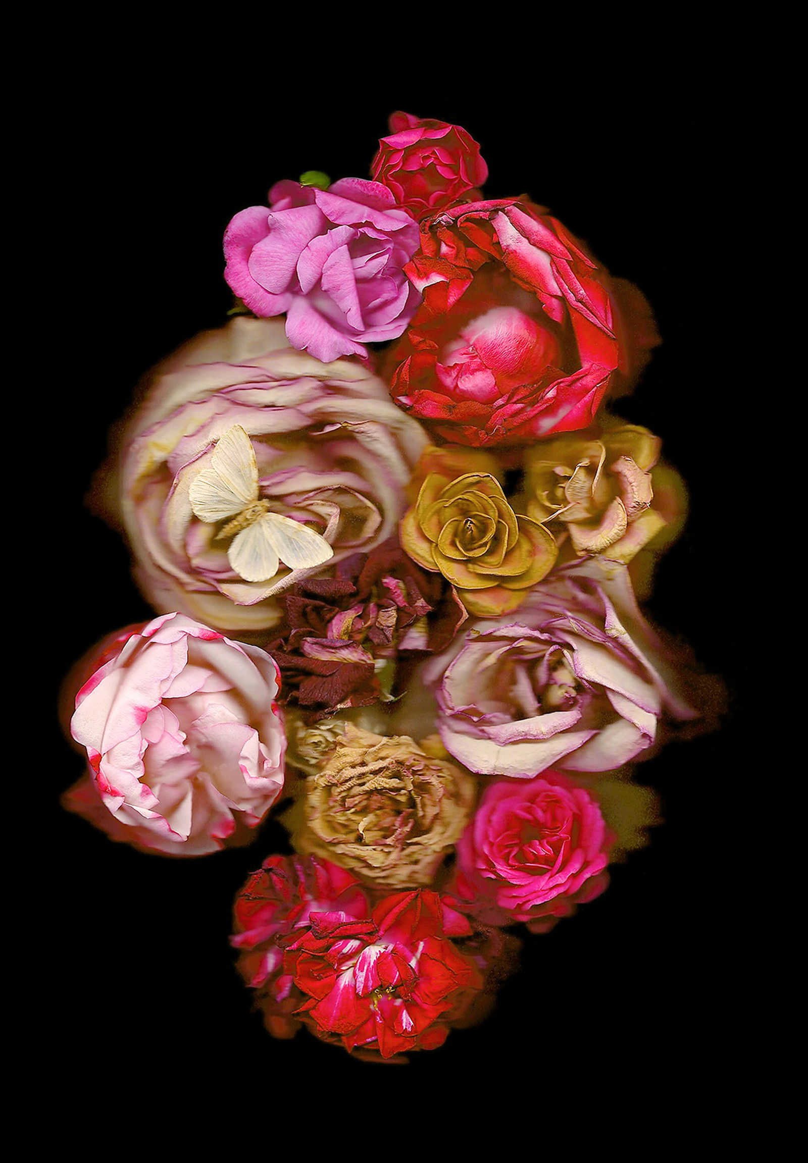 Vanitas XI von Annet Van Der Voort Vanitas XI von Annet Van Der Voort