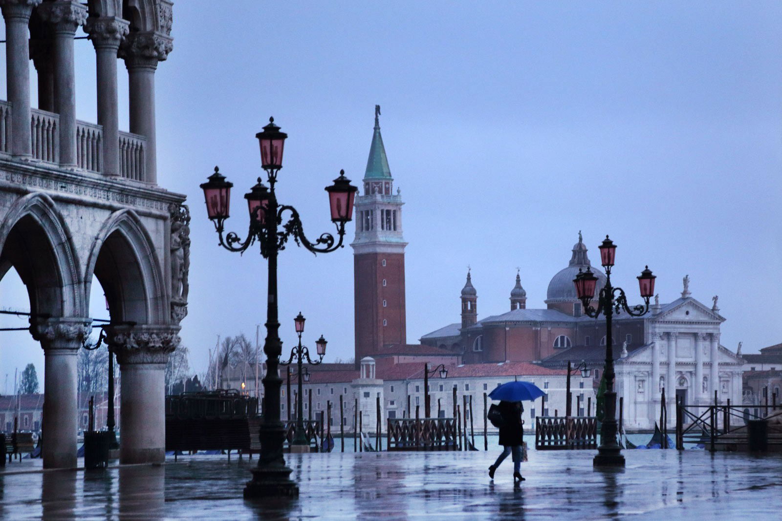 Venice Lady by Christophe Jacrot Venice Lady by Christophe Jacrot