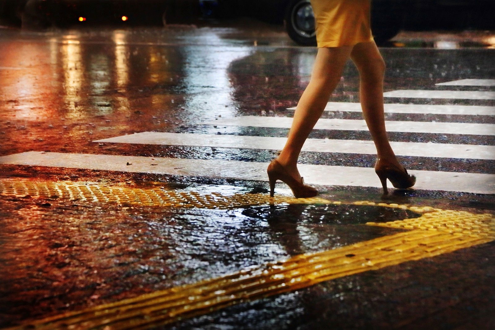 Legs on zebra by Christophe Jacrot Legs on zebra by Christophe Jacrot