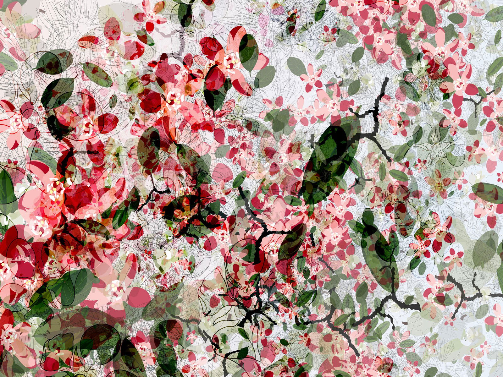 Cherry Blossom von Christine Jaschek Cherry Blossom von Christine Jaschek