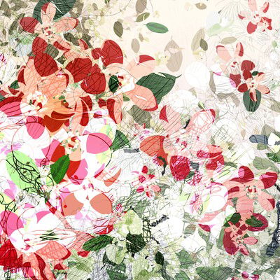 Peach Blossom von Christine Jaschek