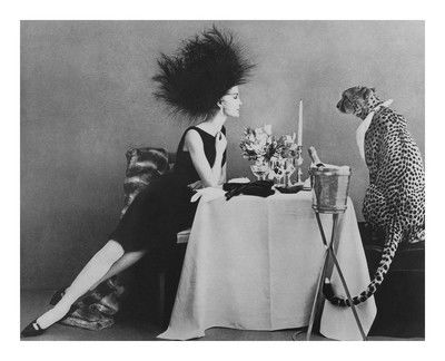 Cheetah von Joseph Leombruno & Jack Bodi