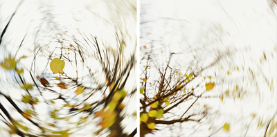 pieces of autumn VIII von Carolin Wolf