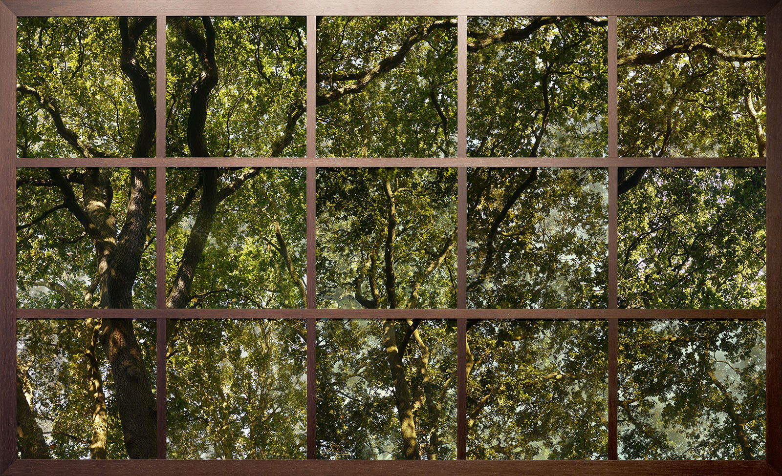 Treescape I by Christiane Zschommler Treescape I by Christiane Zschommler