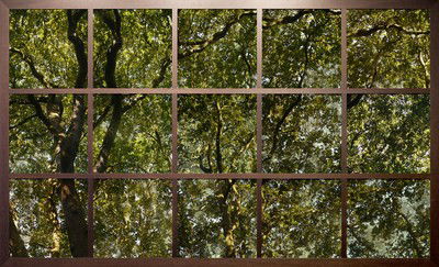 Treescape I von Christiane Zschommler