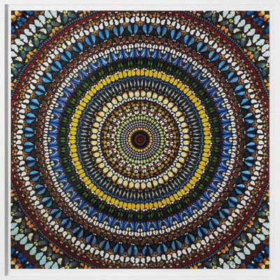 Covenant von Damien Hirst
