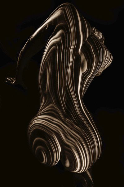Rise 2 von Dani Olivier