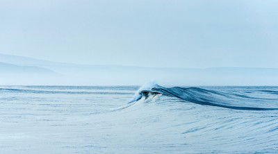 Welle VII de Daniel Reiter