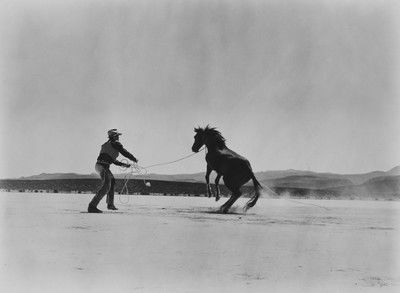 Gay (Clark Gable) von John Huston