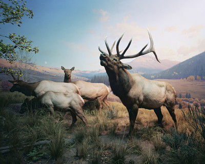 Diorama #1 von Henning Bock