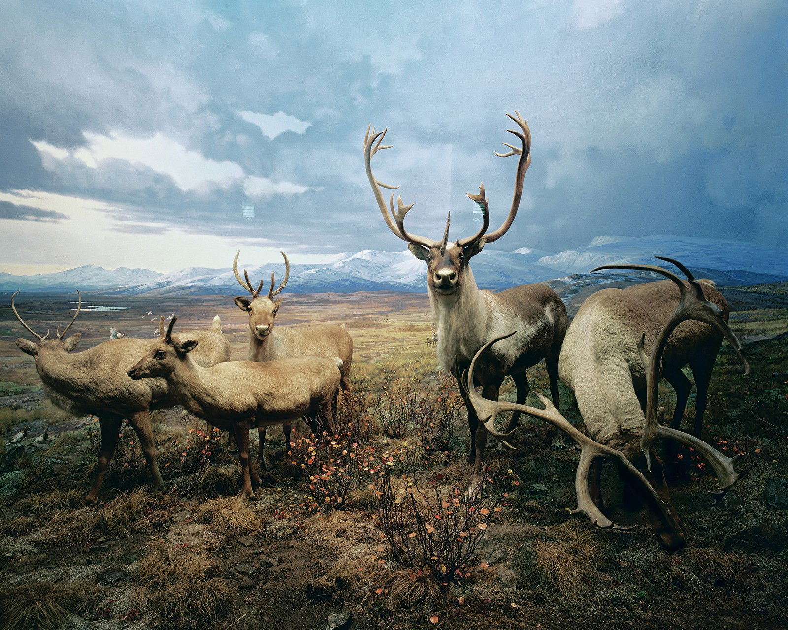 Diorama #4 von Henning Bock Diorama #4 von Henning Bock