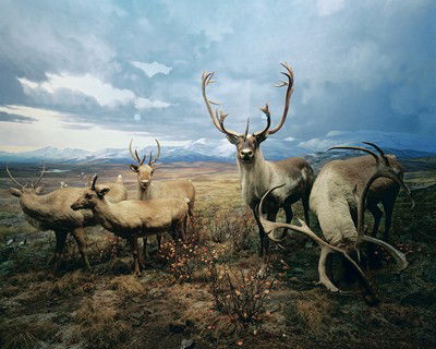 Diorama #4 von Henning Bock
