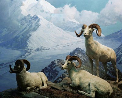 Diorama #6 von Henning Bock