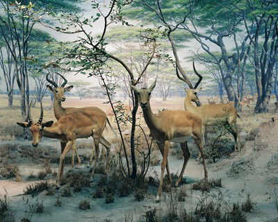 Diorama #8 von Henning Bock