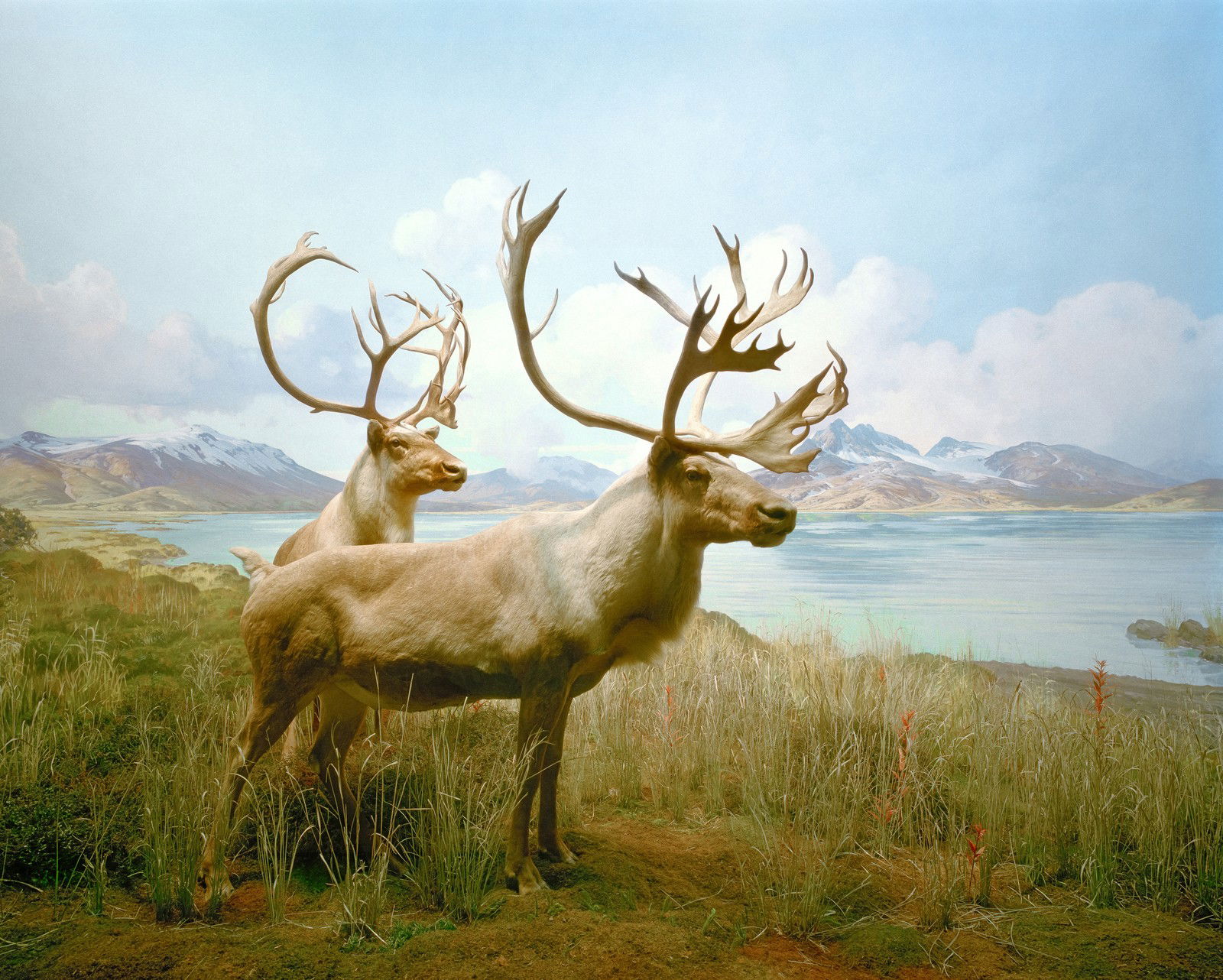 Diorama #10 von Henning Bock Diorama #10 von Henning Bock