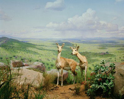 Diorama #11 von Henning Bock
