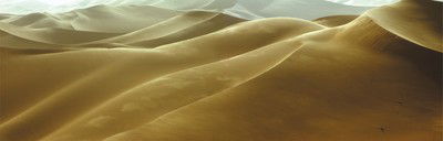 Erg Ubari / Libya von Hans Gasser