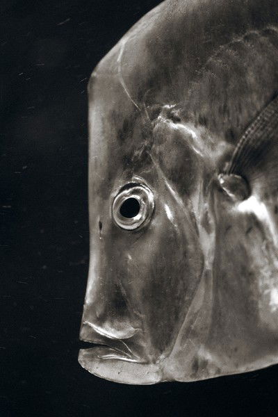 Lookdown von Henry Horenstein