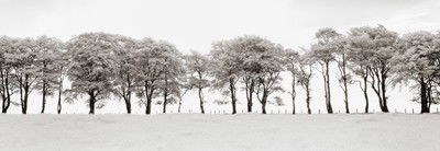 Auchindoun, Scotland von Helmut Hirler