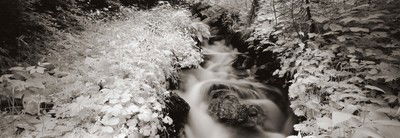 Near Mogno, Valle Maggia, Ticino, Switzerland von Helmut Hirler