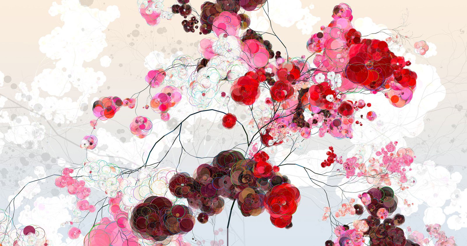 Rose Cherry II by Holger Lippmann Rose Cherry II by Holger Lippmann