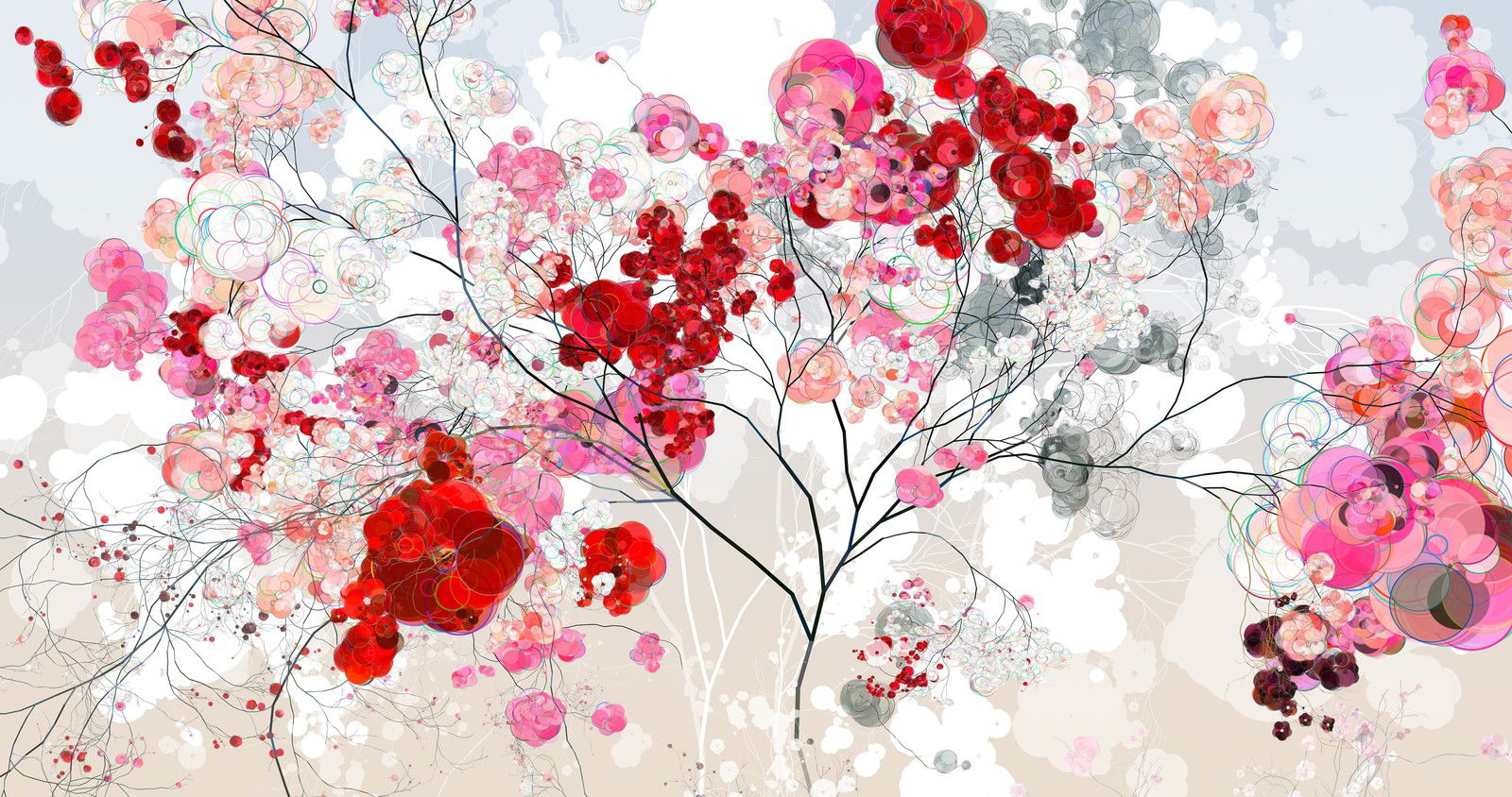 Rose Cherry IV by Holger Lippmann Rose Cherry IV by Holger Lippmann