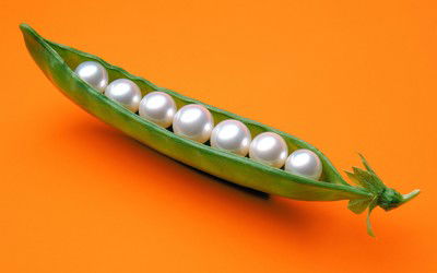 Pearls in a Pod de James Wojcik
