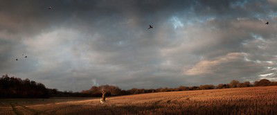 Shooting Party On Lord Shaftesbury's Estate von Justin Barton