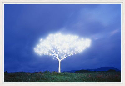 Tree of Life 5-2-1 von Lee Jeonglok