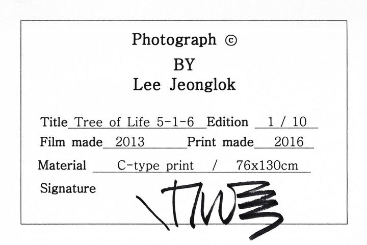 Tree of Life 5-1-6