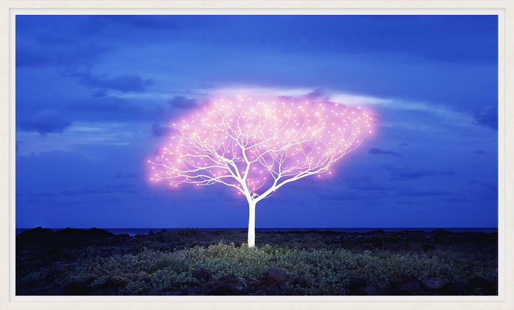 Tree of Life 5-1-6 by Lee Jeonglok Tree of Life 5-1-6 by Lee Jeonglok