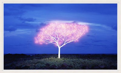 Tree of Life 5-1-6 von Lee Jeonglok