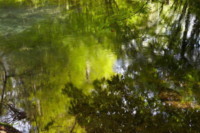 Enchanted Waters III von Juraj Lipscher