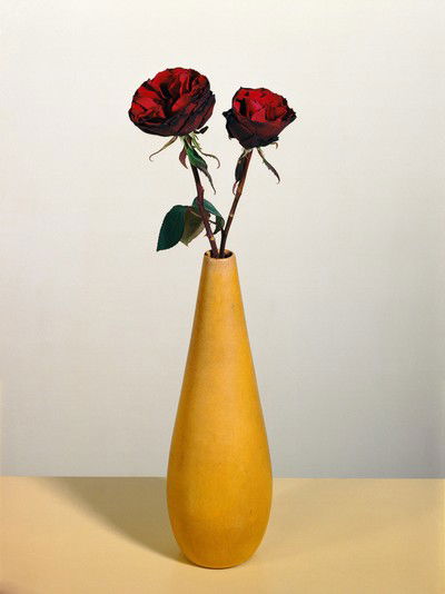 Rosen 2 von Kris Scholz