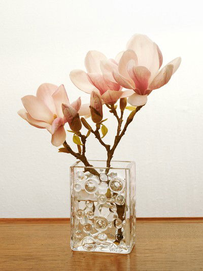 Magnolien 2 von Kris Scholz