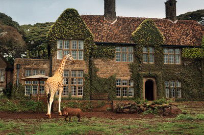 Giraffe Manor #9 von Klaus Thymann