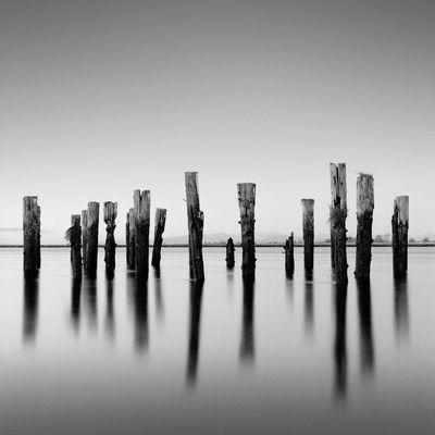 Posts And Shadows von Michael Levin
