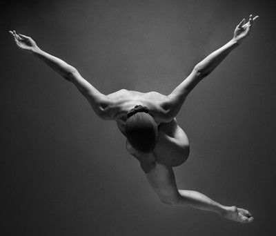 body network 4 von Michael Papendieck