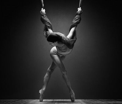 body network 5 von Michael Papendieck