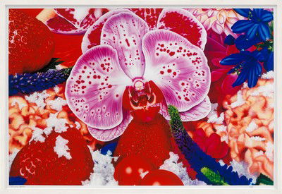 Melville Island Badlands von Marc Quinn